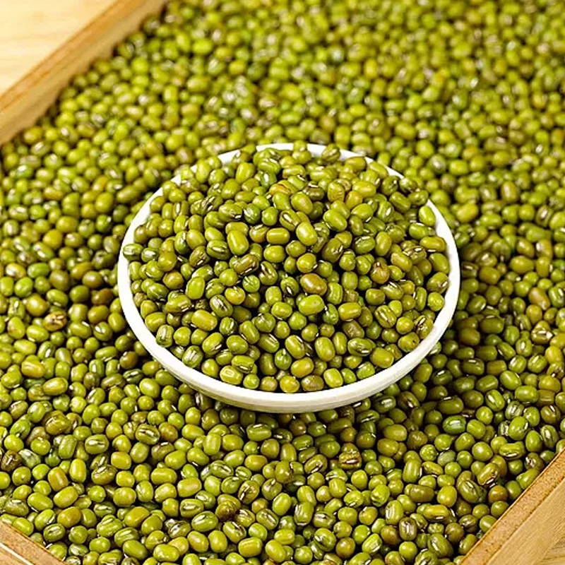 蒲臻善绿豆甄选新鲜原粮粒粒干净饱满保留自然原生香气1kg高清大图