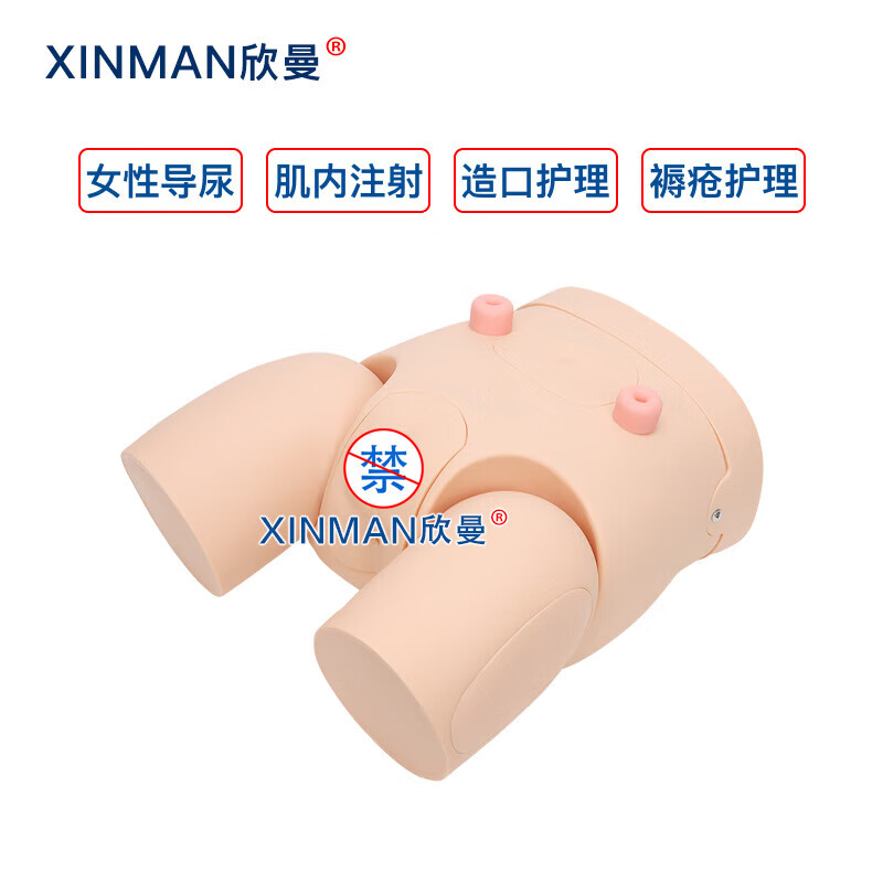 欣曼科教 高级女性导尿操作训练模型 导尿练习模拟人XM-H11高清大图