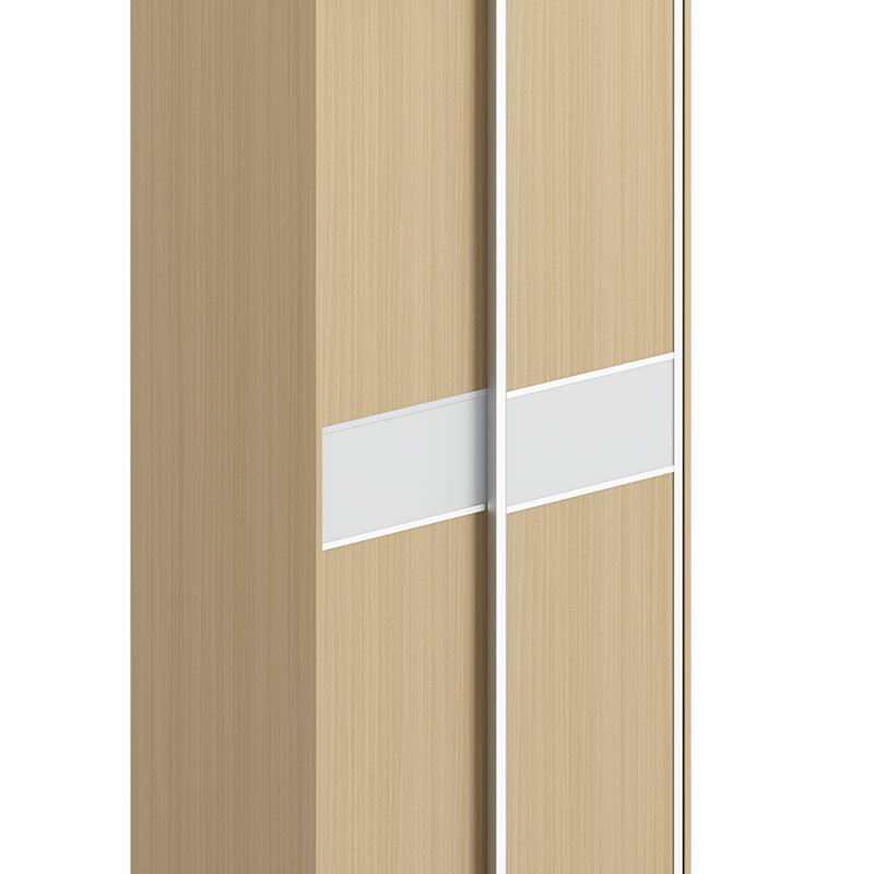 臻远ZY-GYJJ32 公寓套房家具 宿舍更衣柜推拉门双门衣柜高清大图