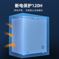 星星(XINGX)100升家用小型冷藏冷冻转换单温卧式冰柜厨房商用保鲜设备超市便利店冷柜节能微霜BD/BC-100KE