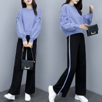 小样传奇 2019春季新款女装时尚阔腿裤两件套宽松显瘦休闲运动服卫衣套装女