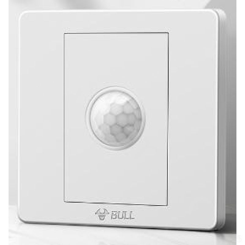 公牛 BULL G06K211C G06二位单控带荧光面板开关 G06K211C(包装数量 1个)..