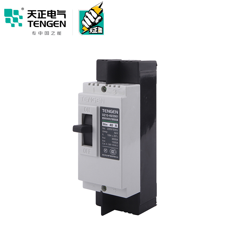 天正电气 DZ15-40 3KA 热磁式 40A 2P 手动 固定式 220V 01040030028 塑壳断路器