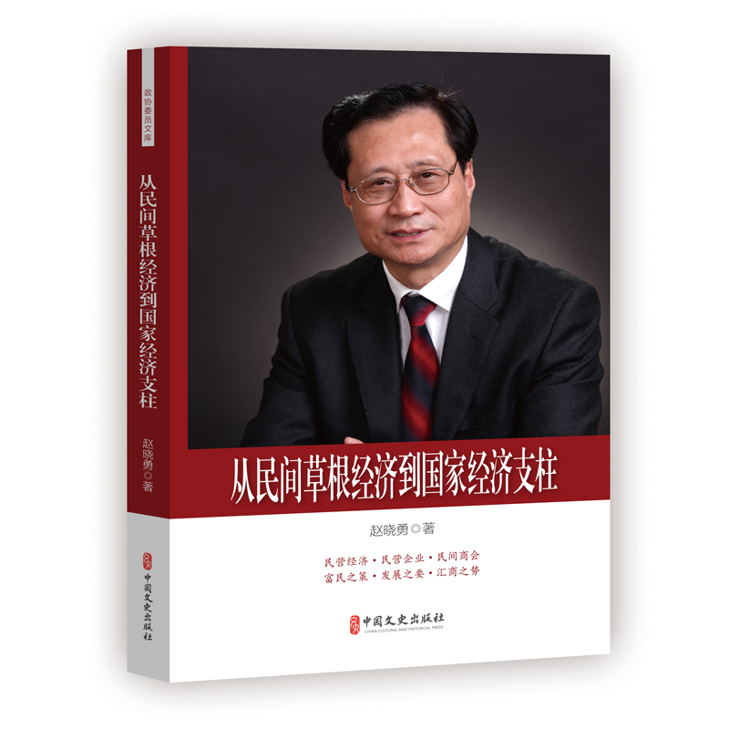 正版新书]从民间草根经济到国家经济支柱赵晓勇9787520504003高清大图