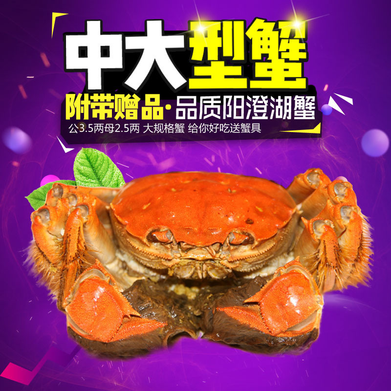 6只送2只! 澄湖之心阳澄湖大闸蟹 鲜活螃蟹 公蟹4.0-3.5两 母螃蟹3.0-2.5两共四对八只