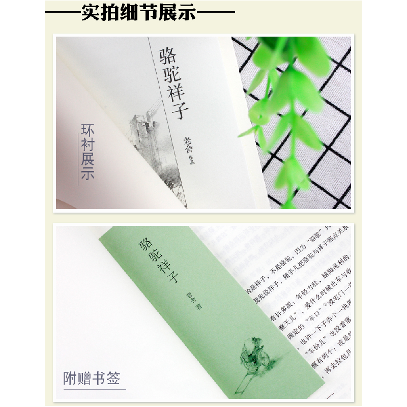正版 骆驼祥子 老舍 江苏凤凰文艺出版社 9787539999159 书籍高清大图