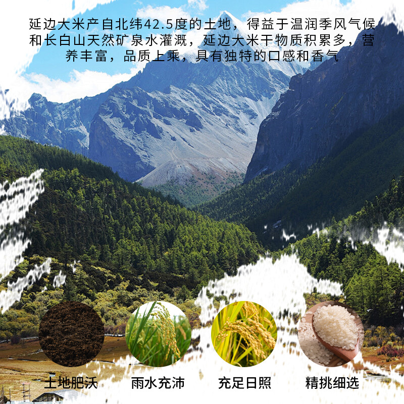 [当季新米]莘学优选东北大米 绿色延边大米 小粒香5kg 粳米10斤真空精品包装