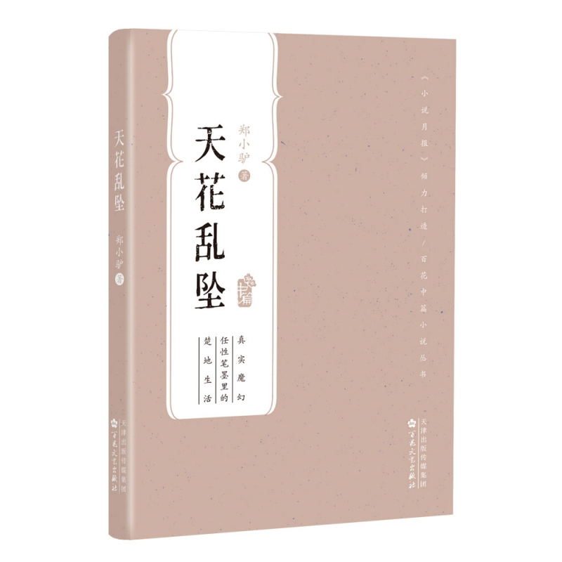 音像天花乱坠(百花中篇小说丛书)郑小驴 著