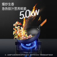 帅康(sacon)KB01E燃气灶双灶台式嵌入式煤气灶700*400大开孔5.0kW大火力家用钢化玻璃炉具煤气炉天然气