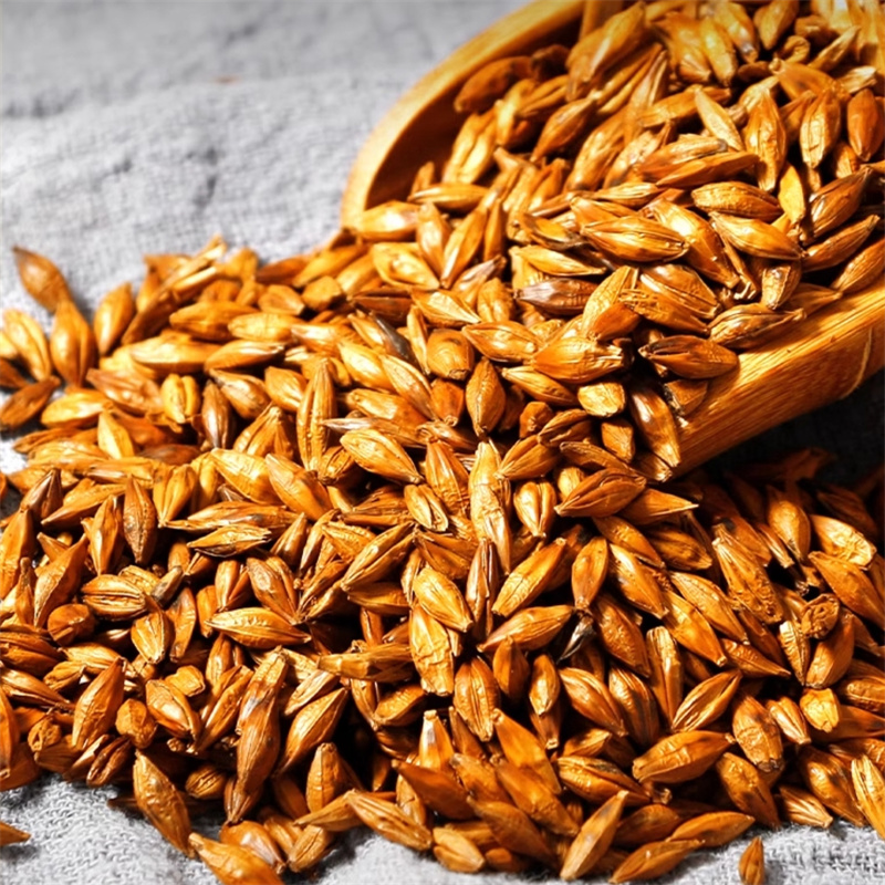 正宗炒熟大麦茶泡茶泡水家用商用非黑苦荞茶浓香官方旗舰店正品9260高清大图