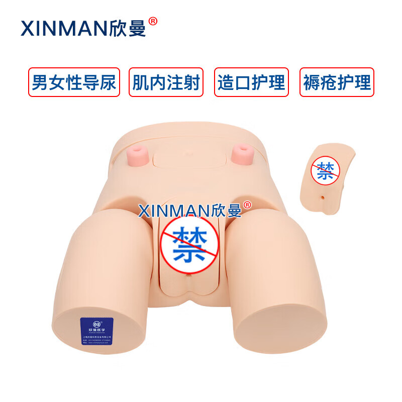 欣曼科教 高级男女性互换导尿操作训练模型 导尿练习模拟人XM-H12