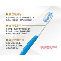 可洁可净新功能物理磨尖毛牙刷(双支装) K302A