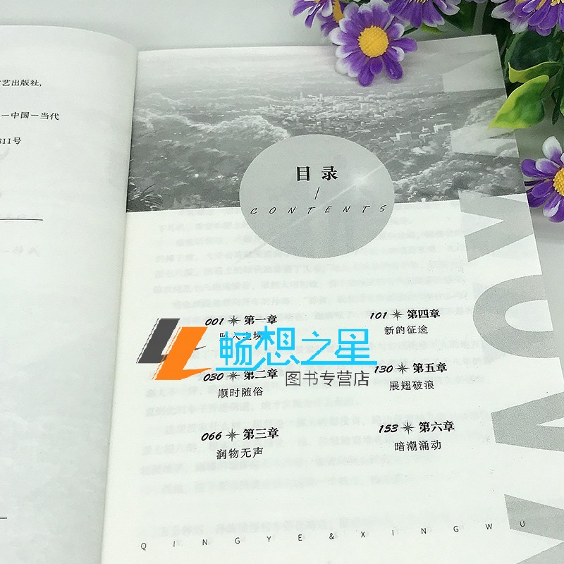 [正版]印签海报+CP手幅+异形书签+语录贴纸印签版耀眼小说1+2时玖远著 青春文学校园言情小说书 耀眼全套 双向高清大图