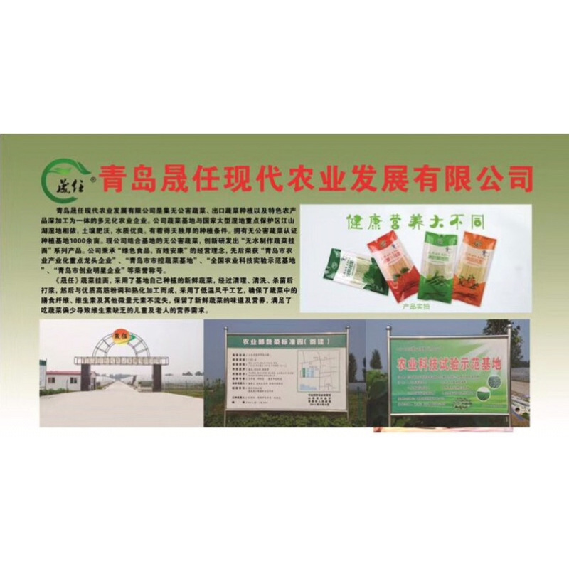 晟任 无公害胡萝卜挂面 老幼孕绿色食品 350克/每包 4包装 晟任挂面