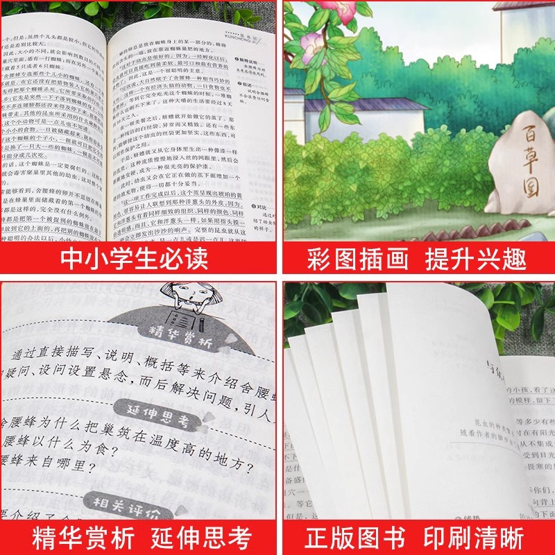 从百草园到三味书屋 [正版]从百草园到三味书屋鲁迅原著必读 适合小学生初中生五六七年级上册看的课外书阅读经典名著老师全集
