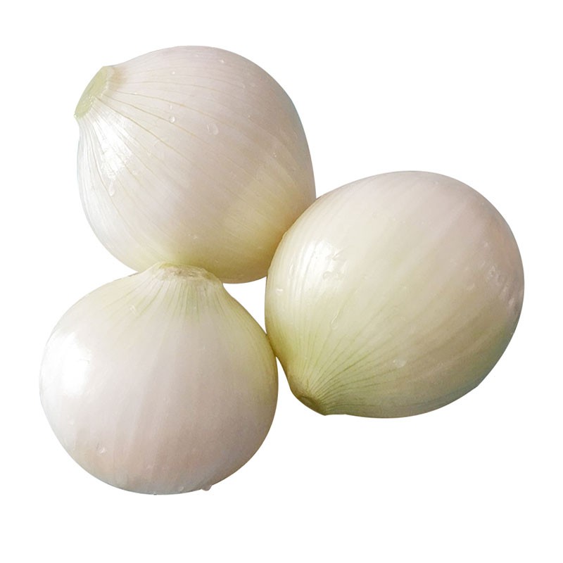 新疆皮牙子白皮洋葱 2.5kg 新鲜蔬菜
