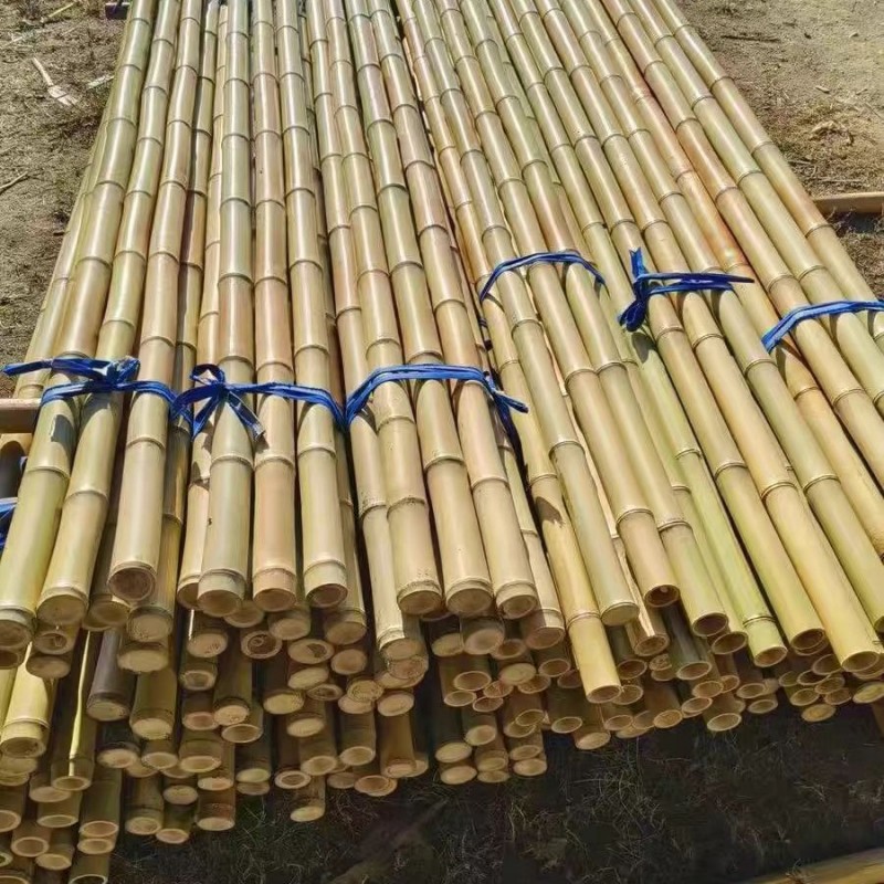 礼千初 防腐竹竹庭院菜架阻断装潢天然竹室内竹竿 100根装高清大图