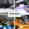 鱼缸底砂造景沙石头底沙水族箱装饰白沙子鹅卵石陶粒砂小石子