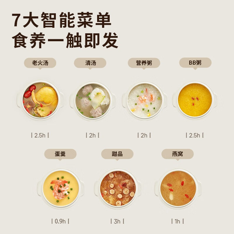 九阳(Joyoung)电炖锅宝宝煮粥锅婴儿辅食锅bb煲汤燕窝电炖盅隔水炖家用陶瓷DG10G-GD102