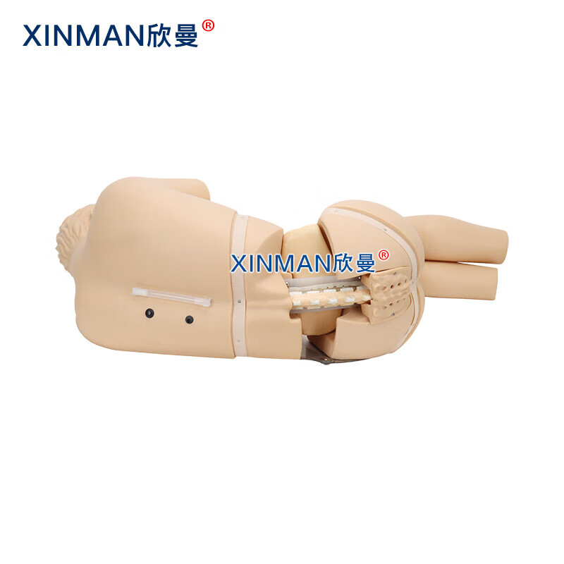 欣曼科教 腰椎穿刺模拟人 教学用腰椎穿刺训练模型XM-YC02高清大图