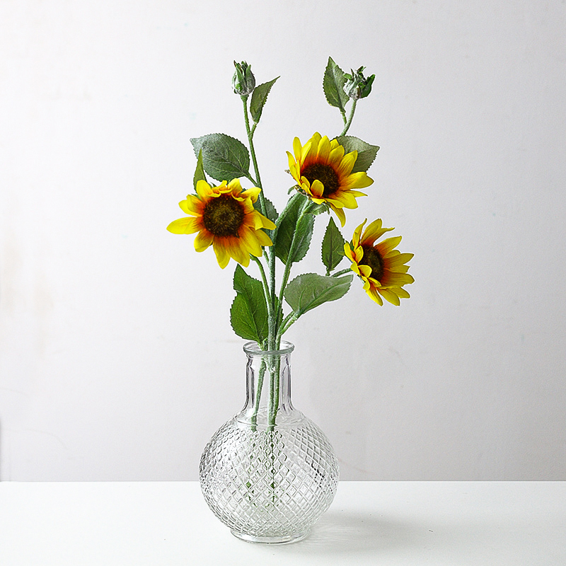 ins北欧创意客厅水培玻璃花瓶透明花器简约现代干花插花花瓶摆件