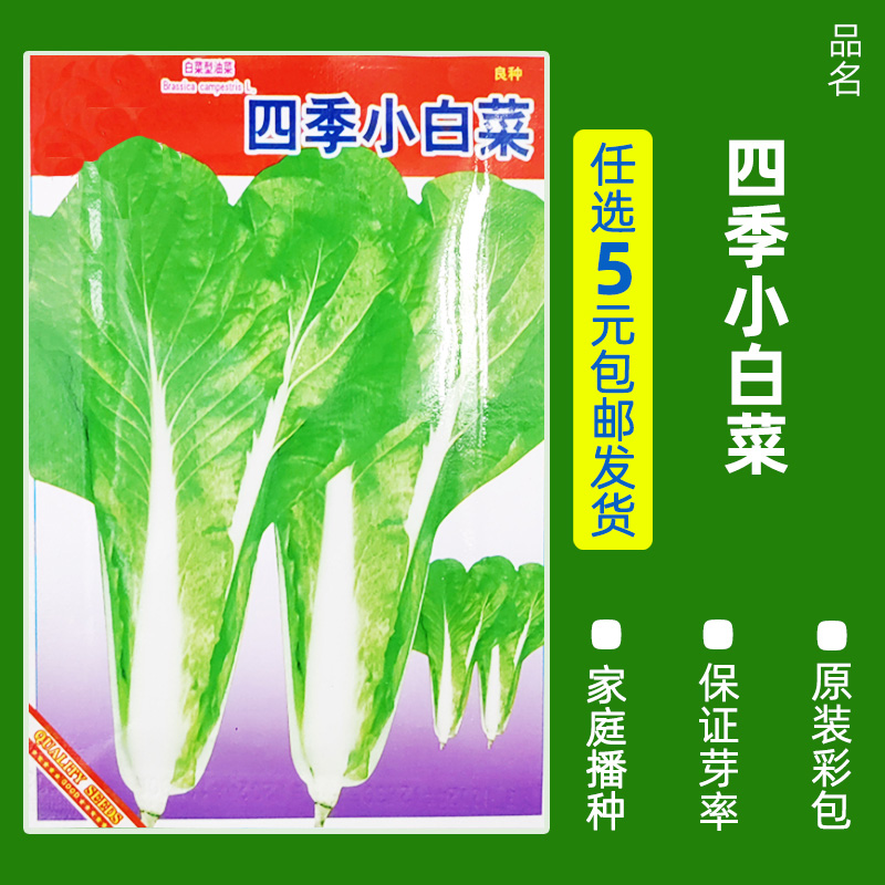 【补贴10%】四季蔬菜种子青菜香菜白菜生菜小葱黄瓜阳台盆栽香瓜冰糖 B40-四季小白菜约6克 均码