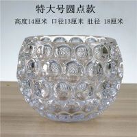 水培植物玻璃瓶圆形玻璃花瓶透明绿萝睡莲铜钱草水养花盆器皿容器