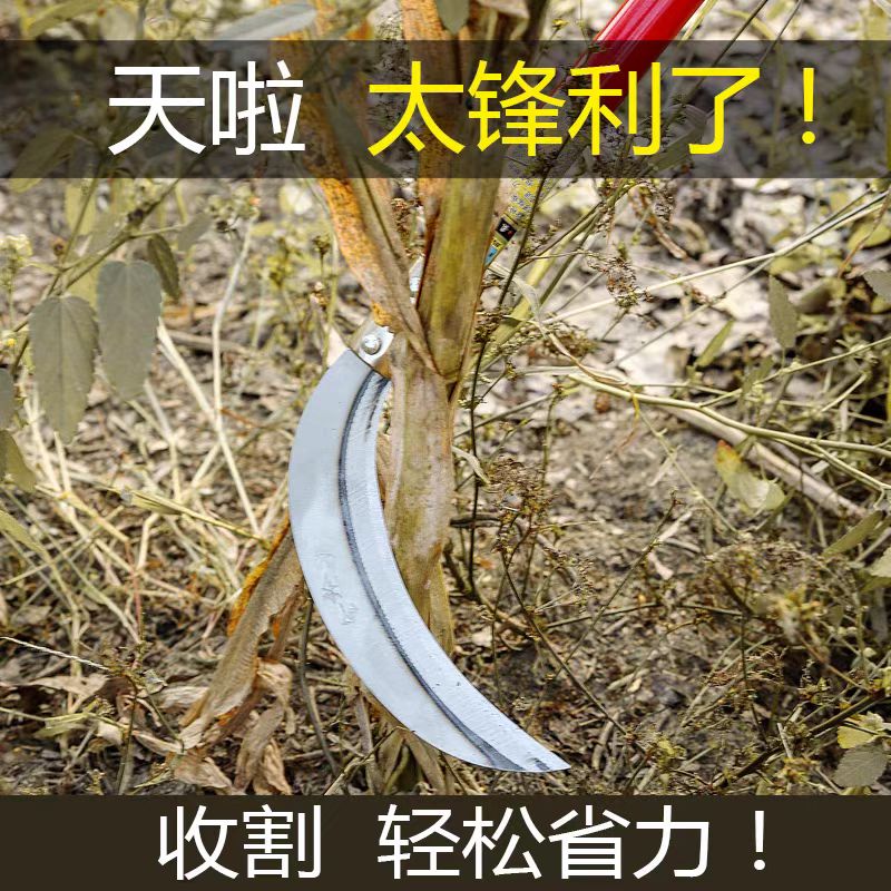 衡雁骏兴 镰刀 40CM*21CM*5CM 把高清大图