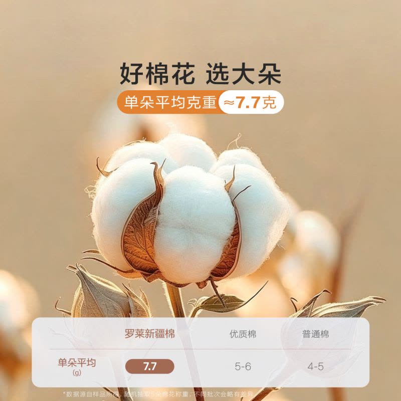 加厚棉花床垫 A类防螨可折叠床褥 100%里外新疆棉 1.5米床图片