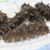宫品淡干单只家用小海参3-3.4cm 1只 每满20只赠1只 威海大连海参双基地随机发简装