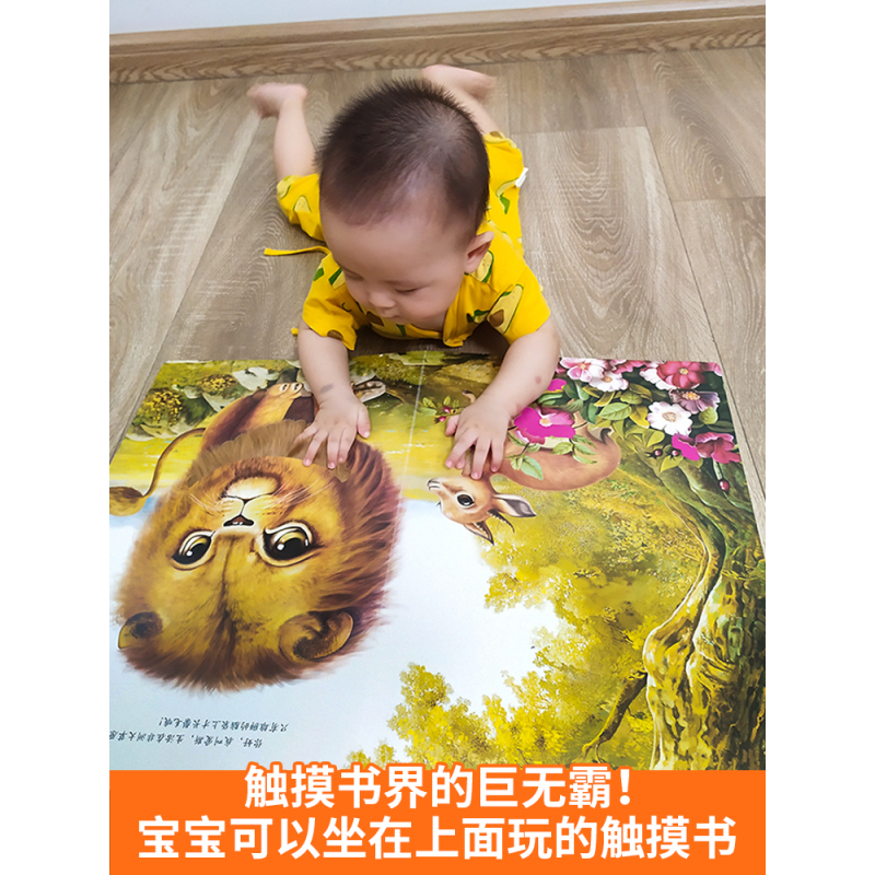 小小手触摸推拉书:黑白(套装共4册) [正版]宝宝的第一本触摸书 早教触摸书婴儿书感官刺激绘本 那么大地板书 1岁撕不烂