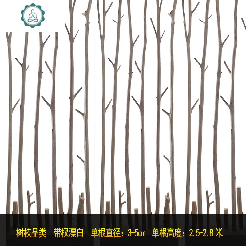 家居干树枝树装饰干枝客厅幼儿园室内枯树干隔断天然禅意森系北欧 封后 ③带杈漂白直径6-9cm高2-3米/根 干树枝