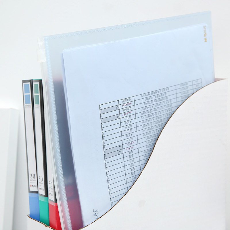 晨光 LH 拉链袋 A4文件ADM94910档案资料文案试卷软面 磨砂半透明款防水拉边袋 10个装