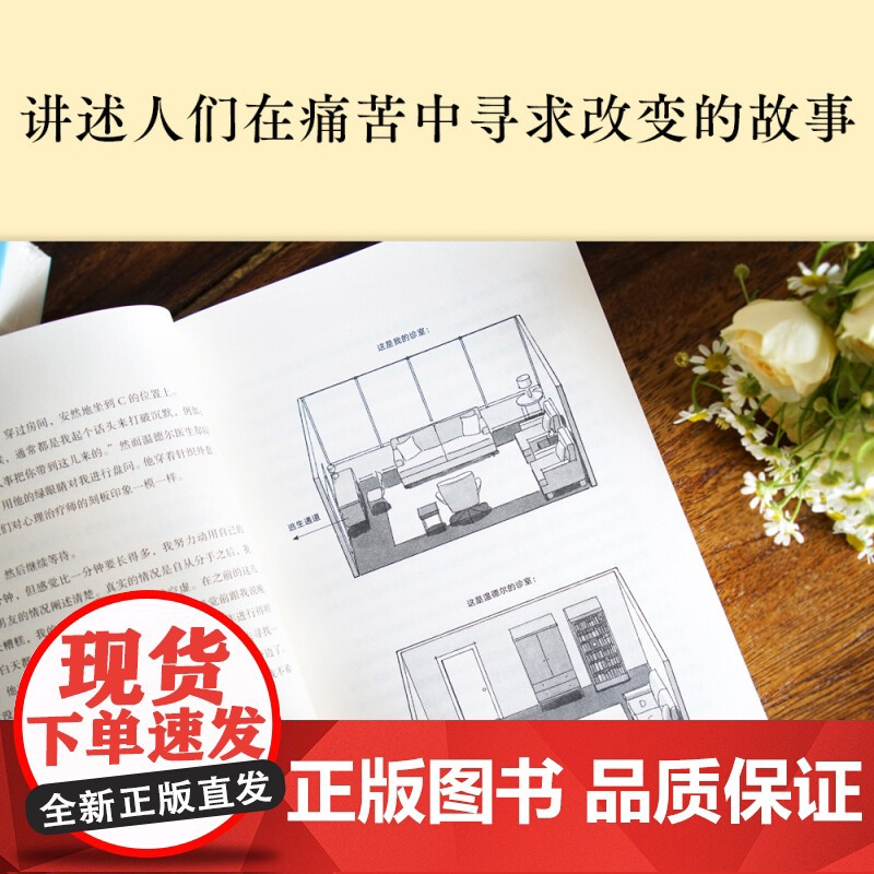 正版 也许你该找个人聊聊 洛莉戈特利布 蛤蟆先生看心理医生后又一部豆瓣心理咨询治疗基础入门心理调节类书籍 果麦 上海高清大图