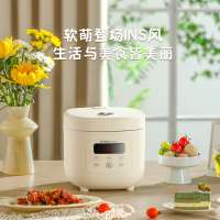 荣事达(Royalstar)电饭煲电饭锅家用2-3人小型智能预约煮饭煲汤蒸菜多功能微压带蒸笼3升RFB-S30N6