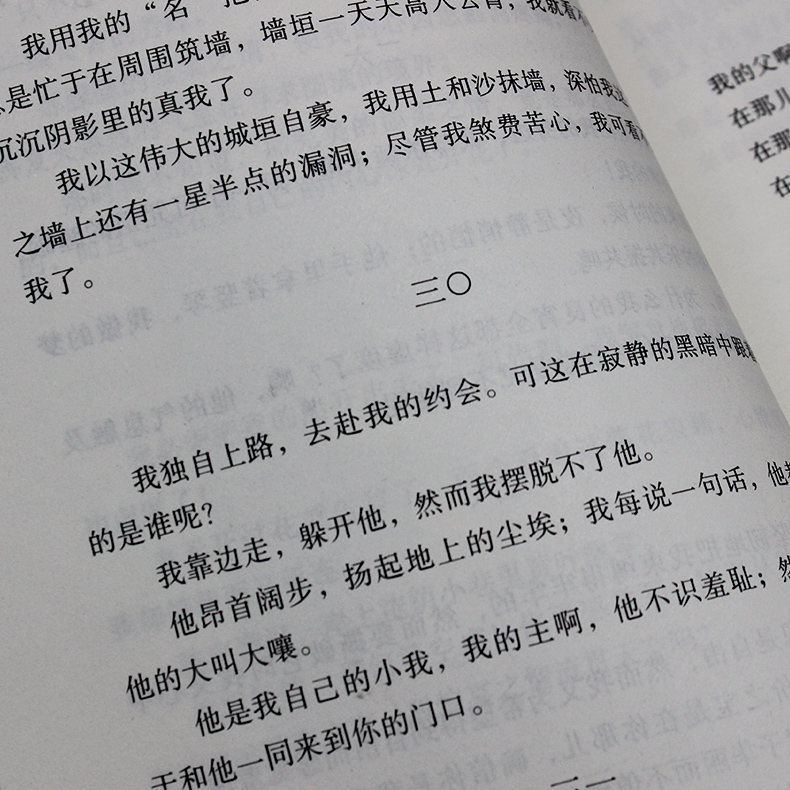 [正版] 泰戈尔诗集 全译本 无删节 原版原著中文版 飞鸟集 新月集 园丁集 采果集等 泰戈尔诗集中文版 泰戈尔诗选 泰高清大图