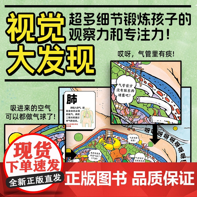 人体大冒险 精装硬壳海豚绘本花园超级眼力运动会系列3-6岁宝宝专注力想象力培养趣味绘本高清大图