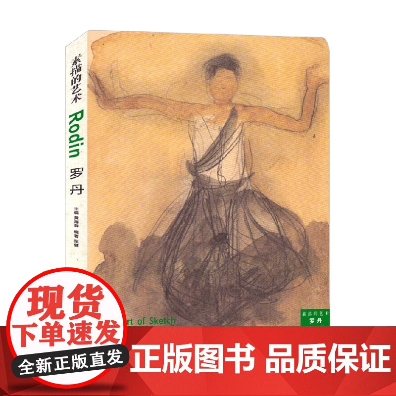 素描的艺术 罗丹 湖北美术出版社 编著 绘画高清大图