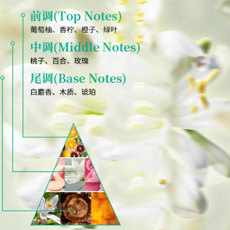 花王630g护发素高清大图