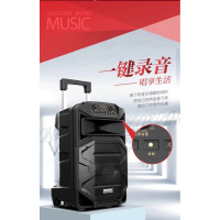 特美声(TEMEISHENG) SL10-31户外广场舞K歌音响大功率便携式拉杆蓝牙带话筒移动音箱