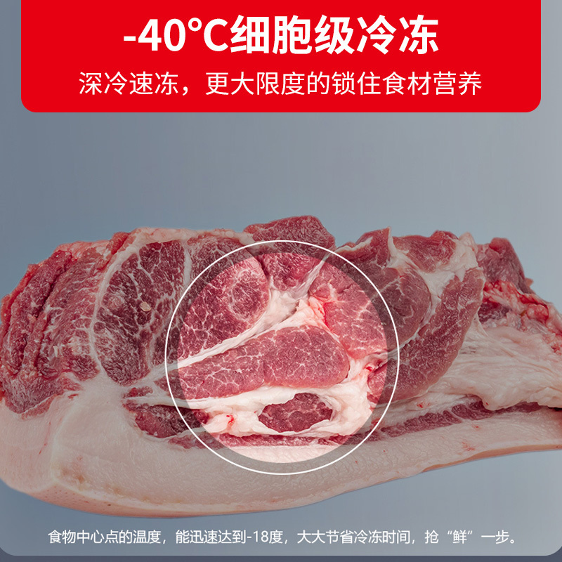 星星(XINGX)201升冰柜家用商用减霜无异味冷藏冷冻卧式顶开门大容量-40度深冷保鲜冷柜 BD/BC-201BKDV
