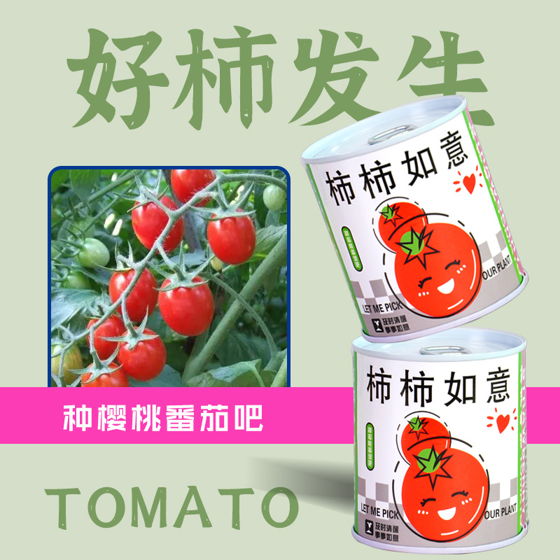 小窝厘 易拉罐种植diy小盆栽桌面绿植栽培罐头植物网红祝福盆栽种子 款式随机(起订量:20盆)*高清大图