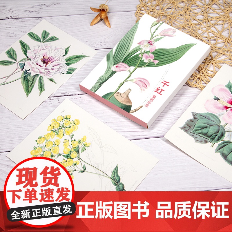 明信片《千红》水彩大师爱德华兹绘 32张名家花卉水彩画册集艺术明信片小卡片手绘插画简约小清新文艺日系复古风生日贺卡创意礼高清大图