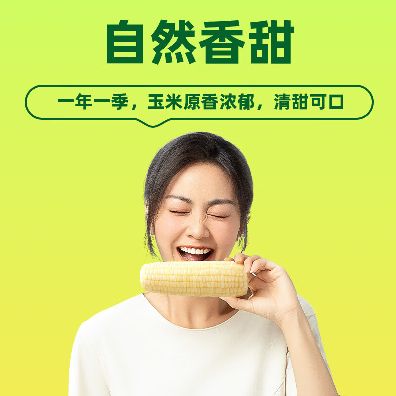 十月稻田鲜食白糯玉米1.56kg(260g*6)软糯香甜0添加真空包装高清大图