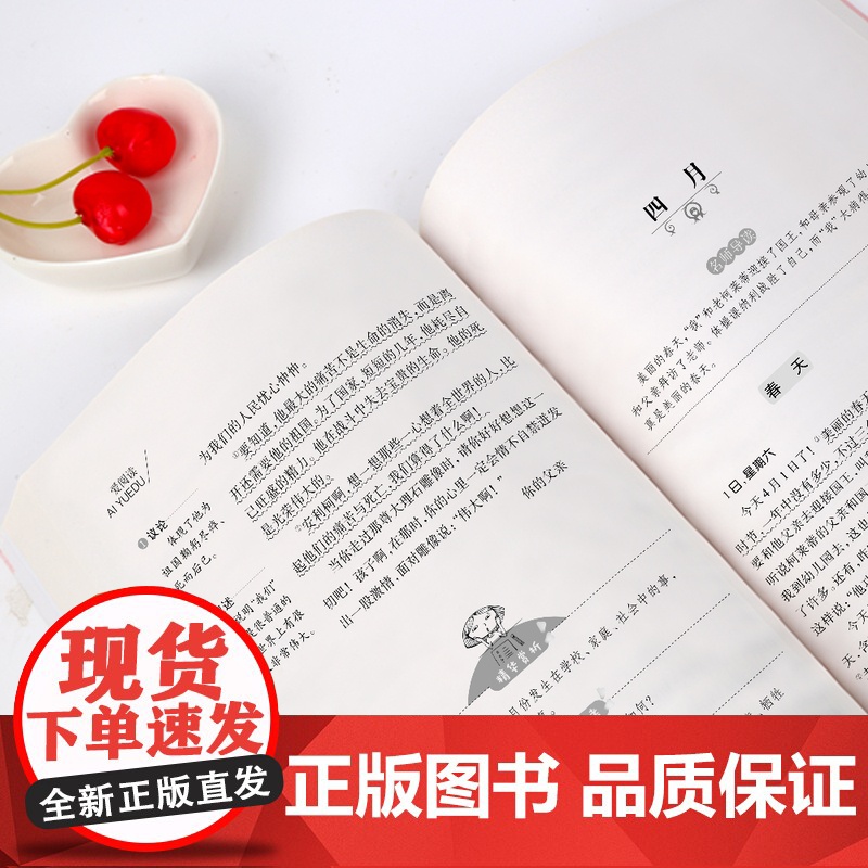 爱的教育小英雄雨来爱丽丝漫游奇境汤姆索亚历险记鲁滨孙漂流记尼尔斯骑鹅旅行记小学生快乐读书吧四五六年级阅读课外书籍高清大图