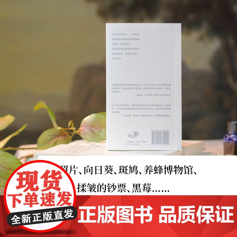 真实生活 9787559872920 北贝 广西师范大学出版社 亚当 扎加耶夫斯基 著 李以亮 译 2024-10高清大图