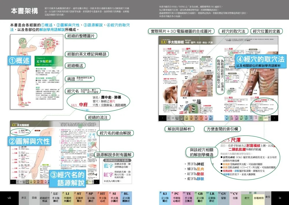 [正版] 原版进口图书 经穴大全 坂元大海 原岛广至 枫书坊出版 养生保健恒学高清大图