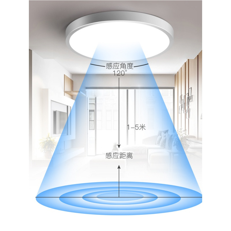 感应吸顶灯led楼道家用CIAA声控过道楼梯灯智能雷达人体红外线感应灯