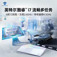 机械师 MACHBOOK-PC 15.6英寸创意设计本吃鸡发烧游戏本笔记本电脑(i7-9750H GTX1660Ti 16G 512GB+1TB 144hz)