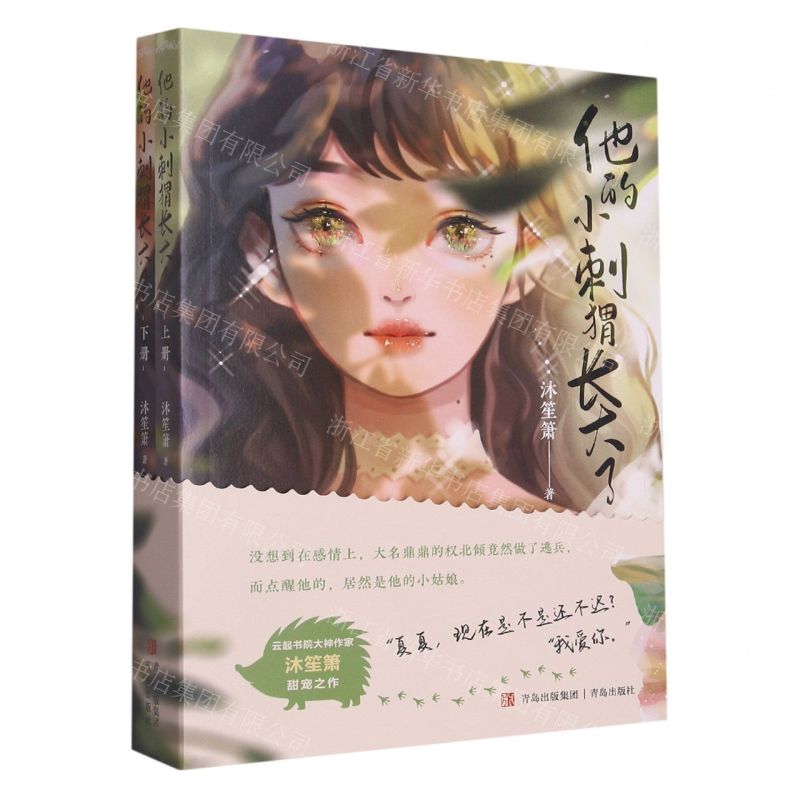 [N]他的小刺猬长大了(上下)-9787573606068高清大图